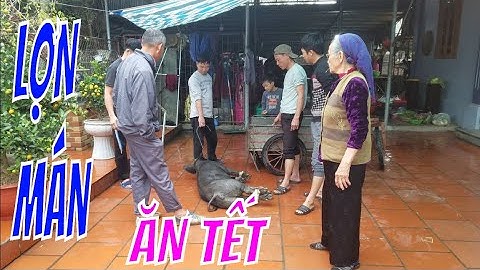 Nông Dân Quê Lúa Thái Bình  Mổ Lợn  Chia Phần Đón Tết 2020/ Không Khí Tết/ NewYear in VietNam