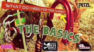 Tree Climbers Guide: Beginners Climbing Kit