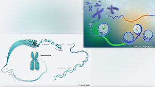 What’s the Minimum Organism? 200, 100, or even 50 Genes?