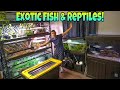 EXOTIC Fish and Reptiles House TOUR!!