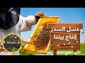 التجربة الأولى تربية النحل في البيت جني عسل سدر إماراتي 1