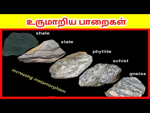 உருமாறிய பாறைகள் | Metamorphic Rocks |Tamil Geography News