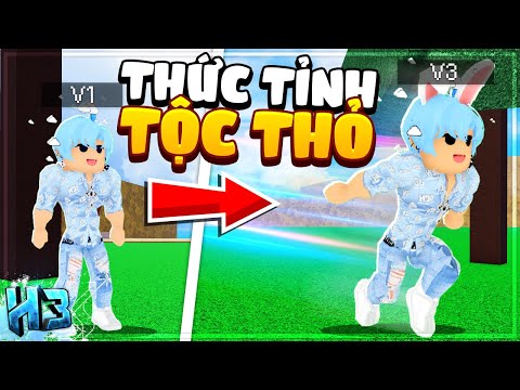 #1 Mình đã NÂNG CẤP TỘC THỎ MINK lên V3 chạy SIÊU NHANH trong Blox Fruit | Roblox Mới Nhất