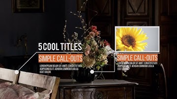 Call-Outs V2 Premiere Pro Templates