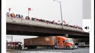 Массовый протест  в КАНАДЕ! Конвой свободы достиг Оттавы!