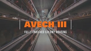 AVECH III Enriched Colony System