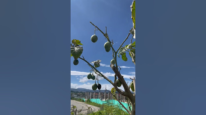 Agricultores de cota desplazados por la construcción de nuevas edificaciones