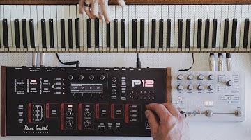 A Prophet 12, a Microcosm, and a Human Arpeggiator Non-stop Device (H.A.N.D.).