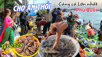 Chợ Tết AN THỚI 2024 - Trúng mẻ Cá Mú khổng lồ Cảng Cá LỚN NHẤT PHÚ QUỐC