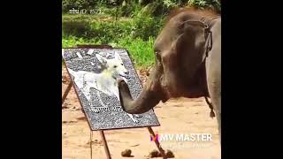 🐶 Cute Dog Playing, Running & Having Fun | Adorable Puppy Moments That Will Make You Smile All Day