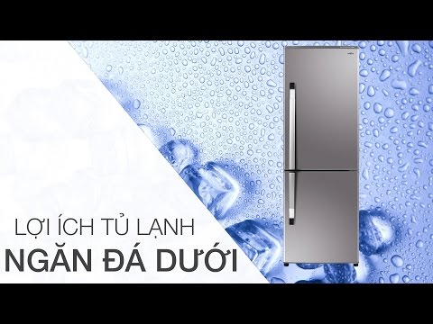 Lợi ích bất ngờ của tủ lạnh ngăn đá dưới | Điện máy XANH