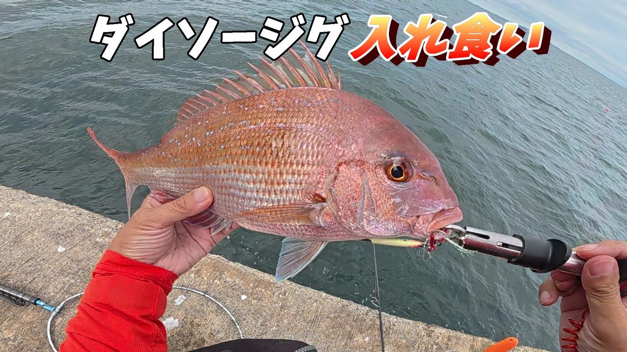 これはヤバイ！ダイソージグで入れ食いのショアジギングが楽しすぎました。