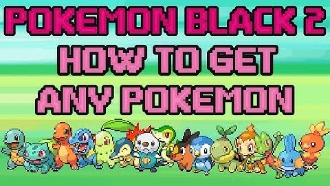 POKEMON BLACK 2 - Get Any Pokemon Action Replay Code DesMume