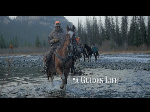 A Guide's Life