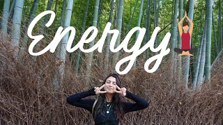 HAVE MORE ENERGY 24 Hour Guide to Living in Harmony with Your Body s Energy Highway Qi Meridians