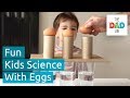 5 Cool Science Experiments with Eggs You Can Do with Kids