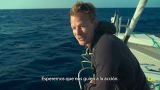 DELFINES EN PRIMER PLANO CON BERTIE GREGORY | ESTRENO 21 SEPTIEMBRE 17.00 | NATIONAL GEOGRAPHIC WILD Starting 21 September Dolphins Up Close With Bertie Gregory National Geographic Mena