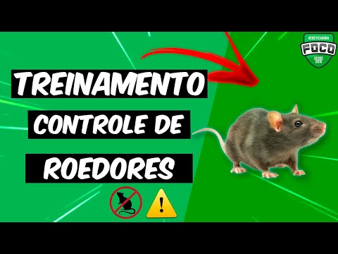 Vídeo: Quanto custa para remover os roedores do sótão?