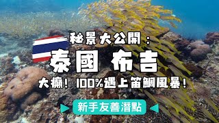 【泰國潛水】布吉PP島潛水俾幾萬條魚圍住！｜極高機率睇到魚群風暴｜O仔A仔新手潛水必去！｜Day Trip Fun Dive完美一日體驗！｜