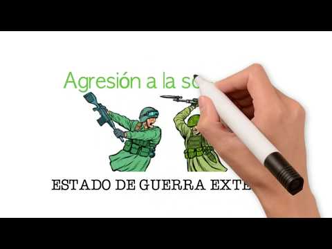 ¿Qué son los