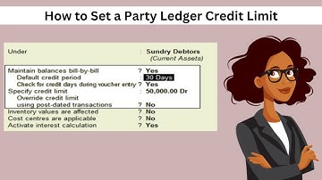 How to Set a Party Ledger Credit Limit