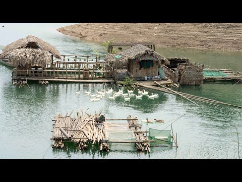 Living Off The Forest | Foraging, Fishing, Night Hunting & Cooking