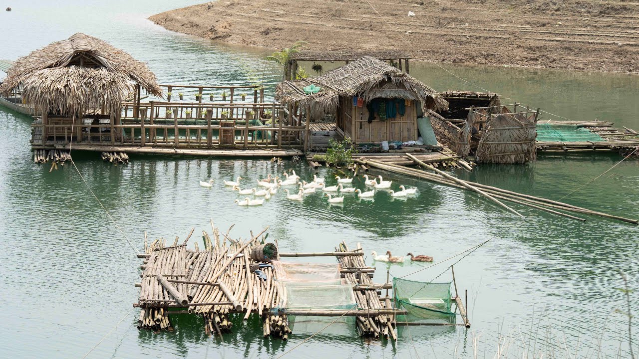 Living Off The Forest | Foraging, Fishing, Night Hunting & Cooking