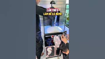 Lần thứ 5 làm bể cá biển san hô nuôi nemo🤩 full bộ đến từ Soha Aqua #cacanh #aquarium #nemo
