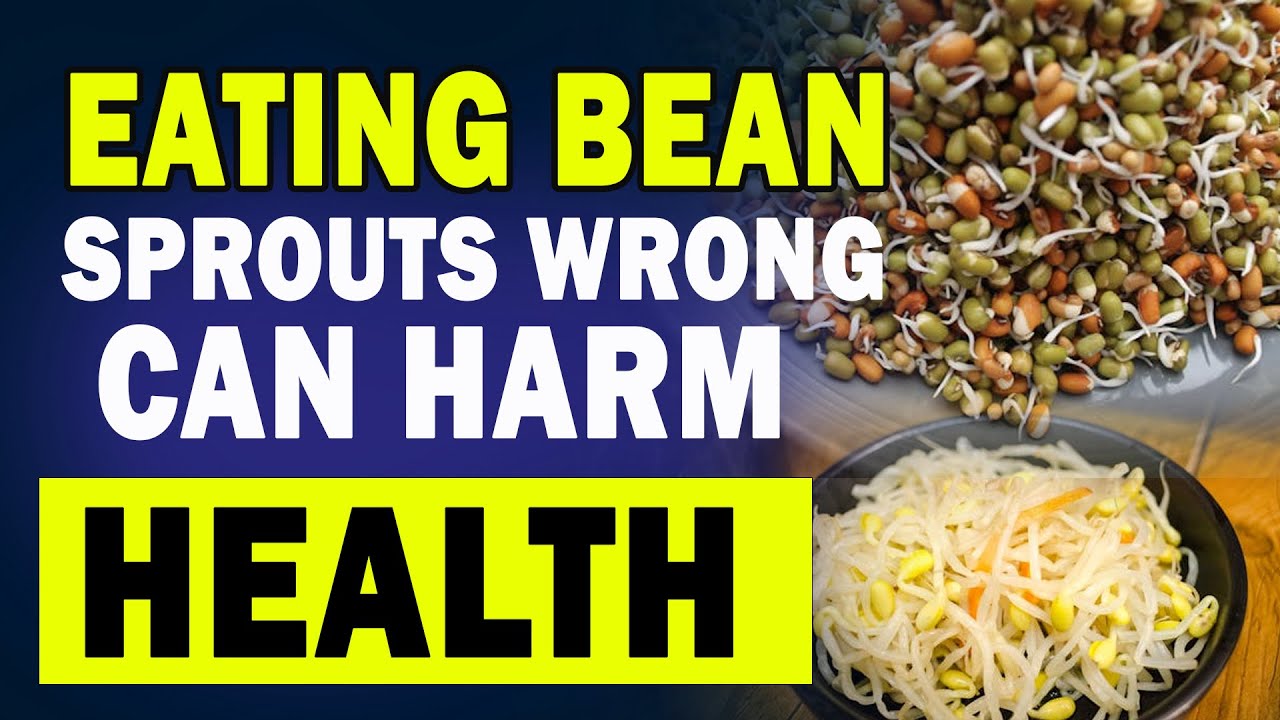 Shocking Eating Bean Sprouts Wrong Can Harm Health YouTube