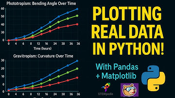 Real World Data Visualization | Python Editor | PictoBlox