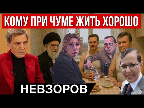 ПМЭФ- много забавного.
