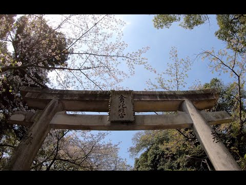 2025 04 09 金刀比羅神社
