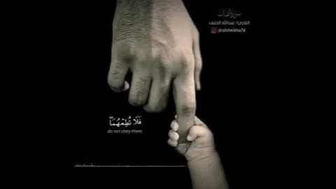 تلاوة هادئة من سورة لقمان بصوت القارئ عبد الله الخلف