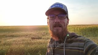 Sept. 1221 Sunrise- Fog And Frost, Or Is It Mist