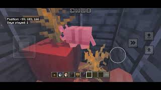 Today let’s take a look at some baby mobs!🎉🎉