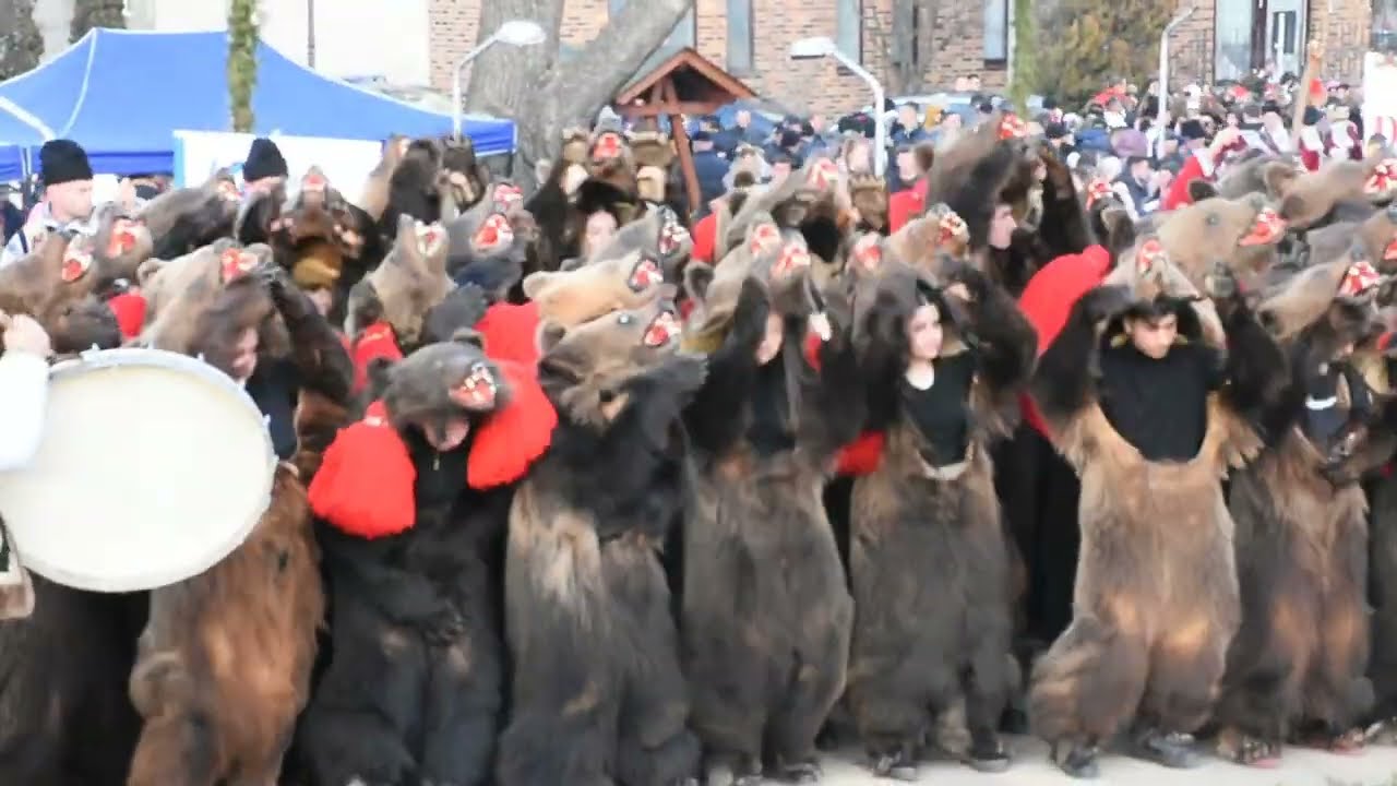 Jocul Ursului - Ceata urșilor din Zăvoi (Comănești)