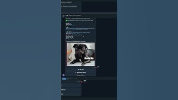 😳How to Launch Meme Coin in 1 minute via Telegram Bot