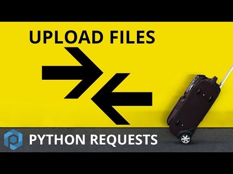 Python Requests | Upload a File