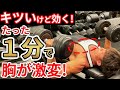 【大胸筋】1分でデカくなる!究極のダンベルフライ徹底解説