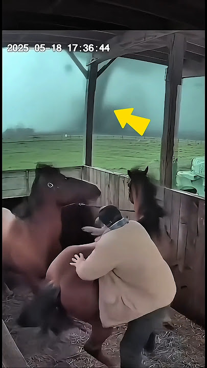 🌪️Heroic Farmer Saves Horses Moments Before Tornado Destroys Stable | Real Security Cam Footage