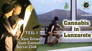 Lanzarote - So wird für die Social Clubs angebaut | TEIL 1