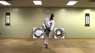 Taekwondo: Turning Kick (Dollyo Chagi)
