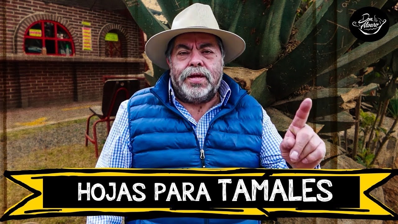 Fuimos al pueblo a COMPRAR HOJAS PARA TAMAL