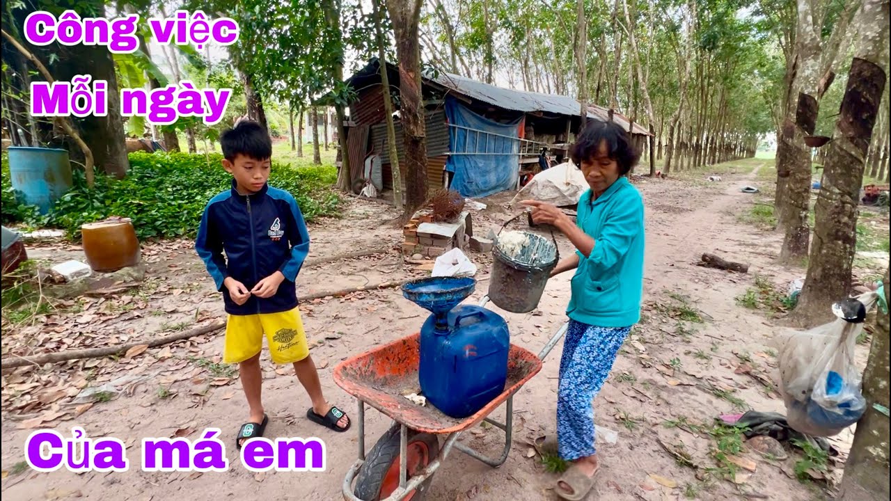 Mẹ Diễm 68 tuổi vẫn phải làm vì nhà nghèo