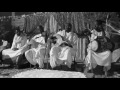 بلبل توات ناجم ادرار بلبل توات ناجم ادرار