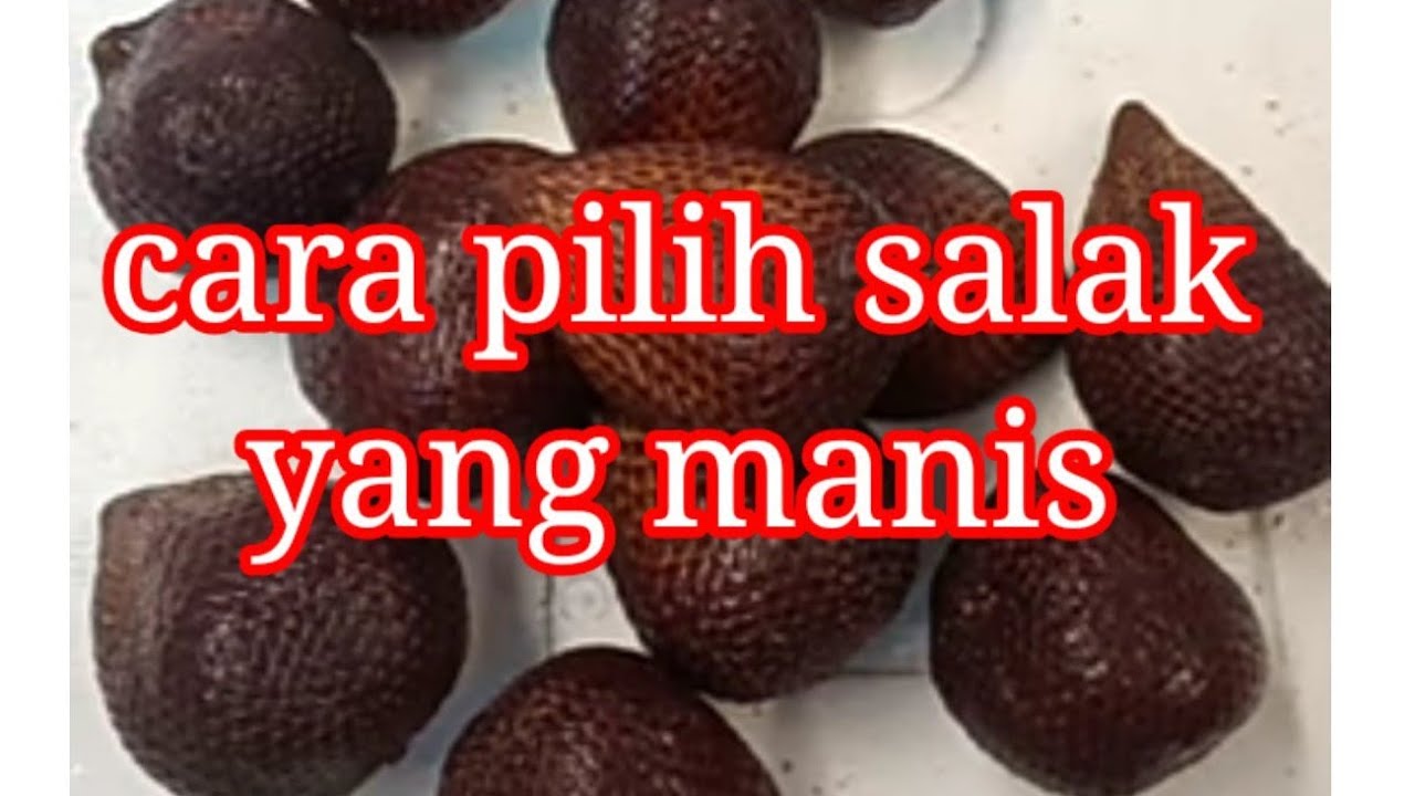 cara pilih salak manis