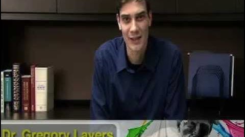 Critical Thinking - PHIL 210