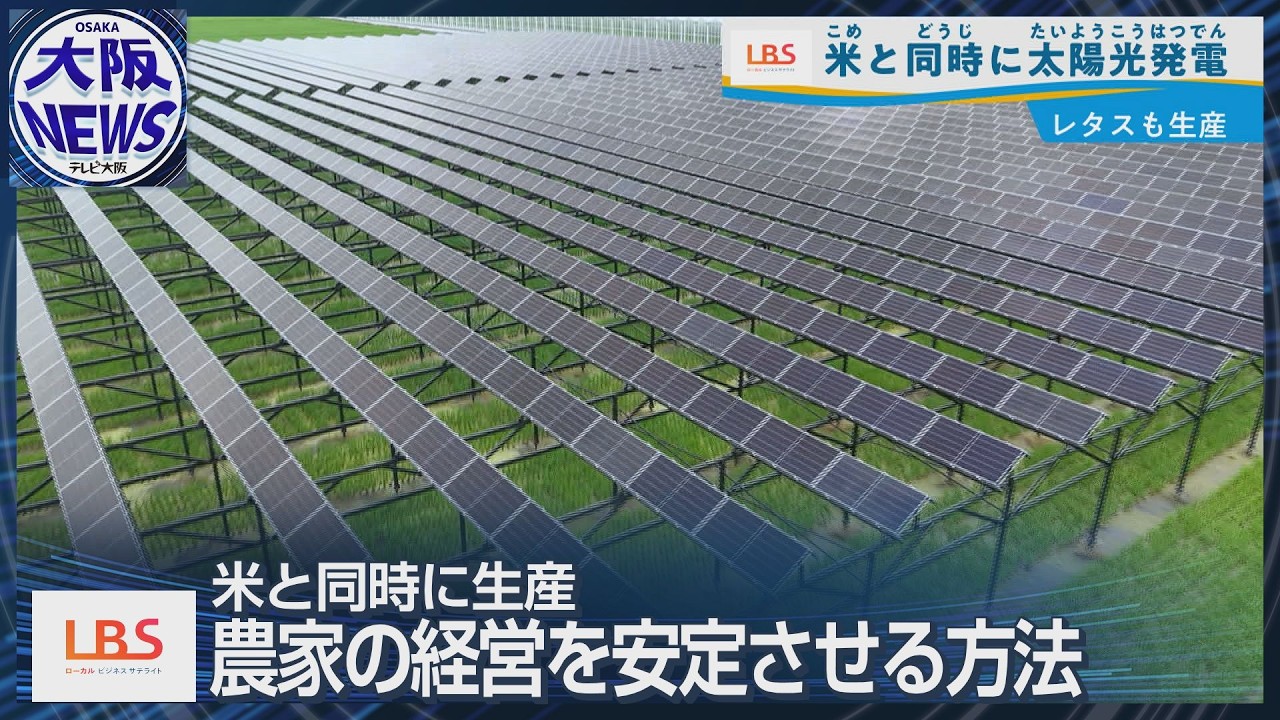 太陽光発電　林田和です Growing Rice and Generating Power: Japan's Largest 