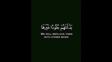 [إِنَّ الَّذِينَ كَفَرُوا بِآياتِنا سَوْفَ نُصْلِيهِمْ ناراً كُلَّما نَضِجَتْ..] النساء ٥٦ فارس عباد