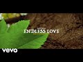 Artykal Gardner - Endless Love
